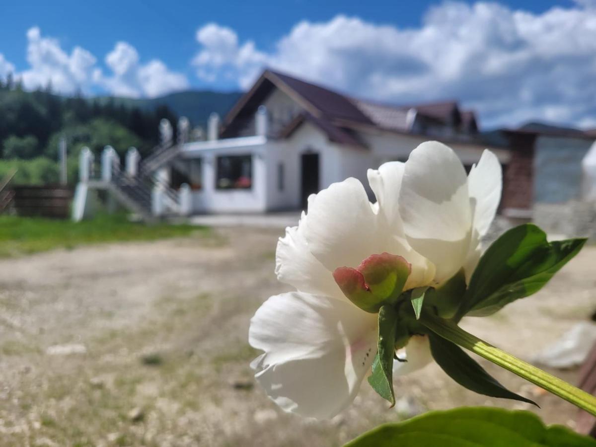 Poarta Zaganului Cheia Hotell Cheia  Eksteriør bilde