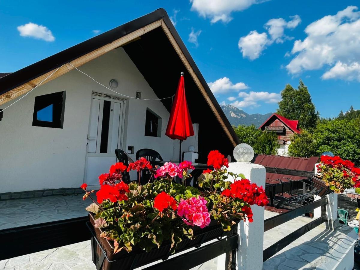 Poarta Zaganului Cheia Hotell Cheia  Eksteriør bilde